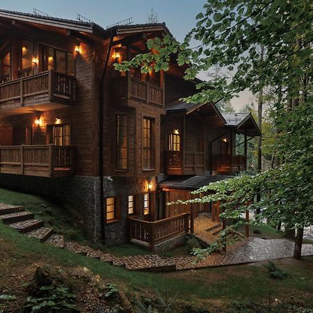 Chalet Royal Sinaia Kültér fotó